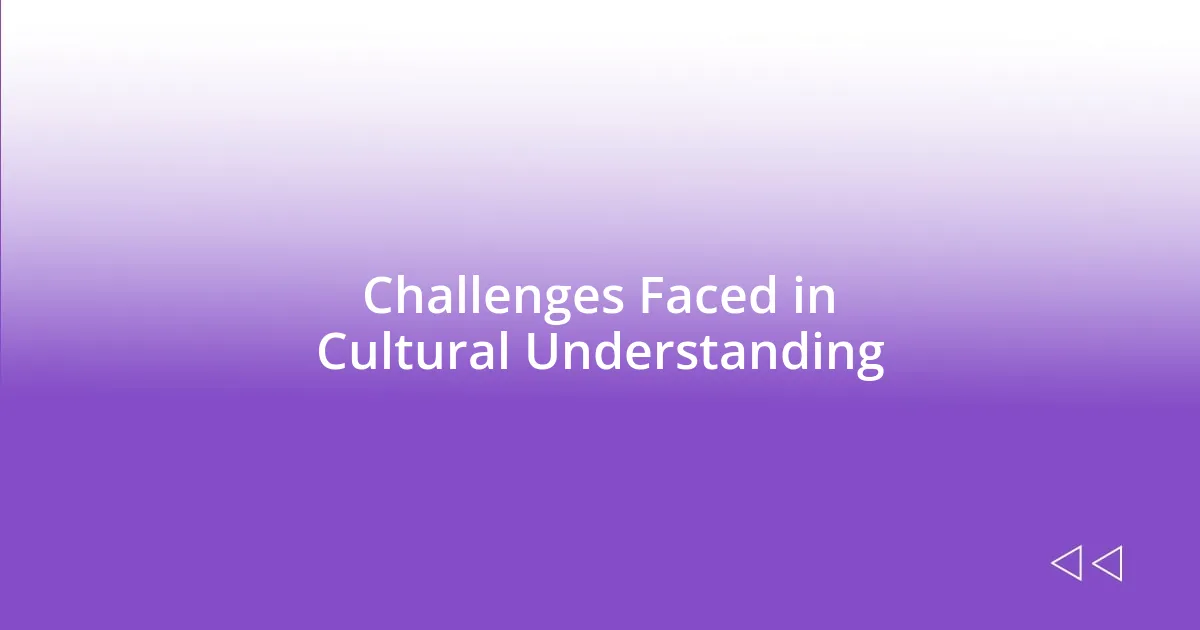 Challenges Faced in Cultural Understanding